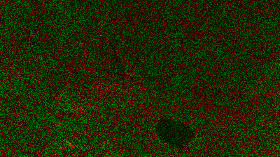 Our method with image-based TF