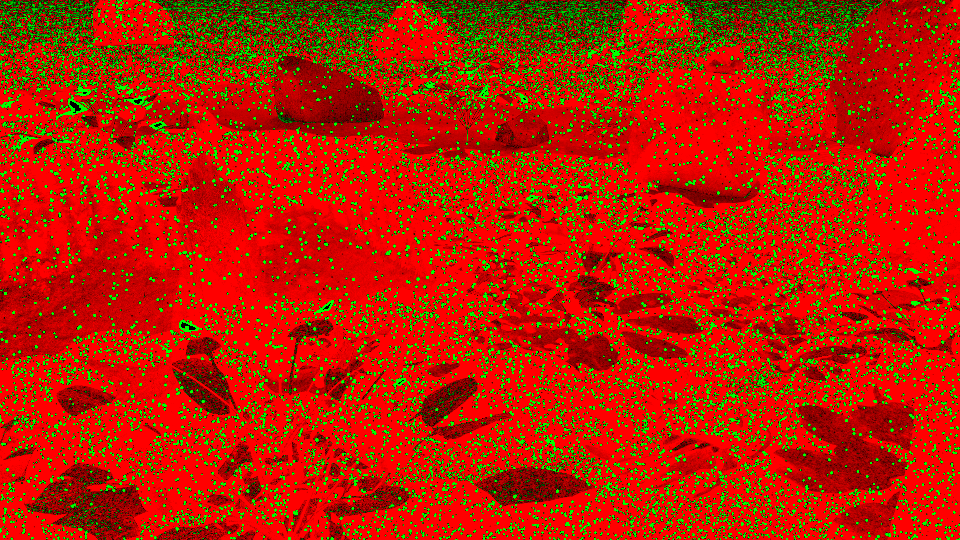 Bidirectional path tracing