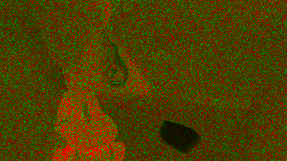 Bidirectional path tracing